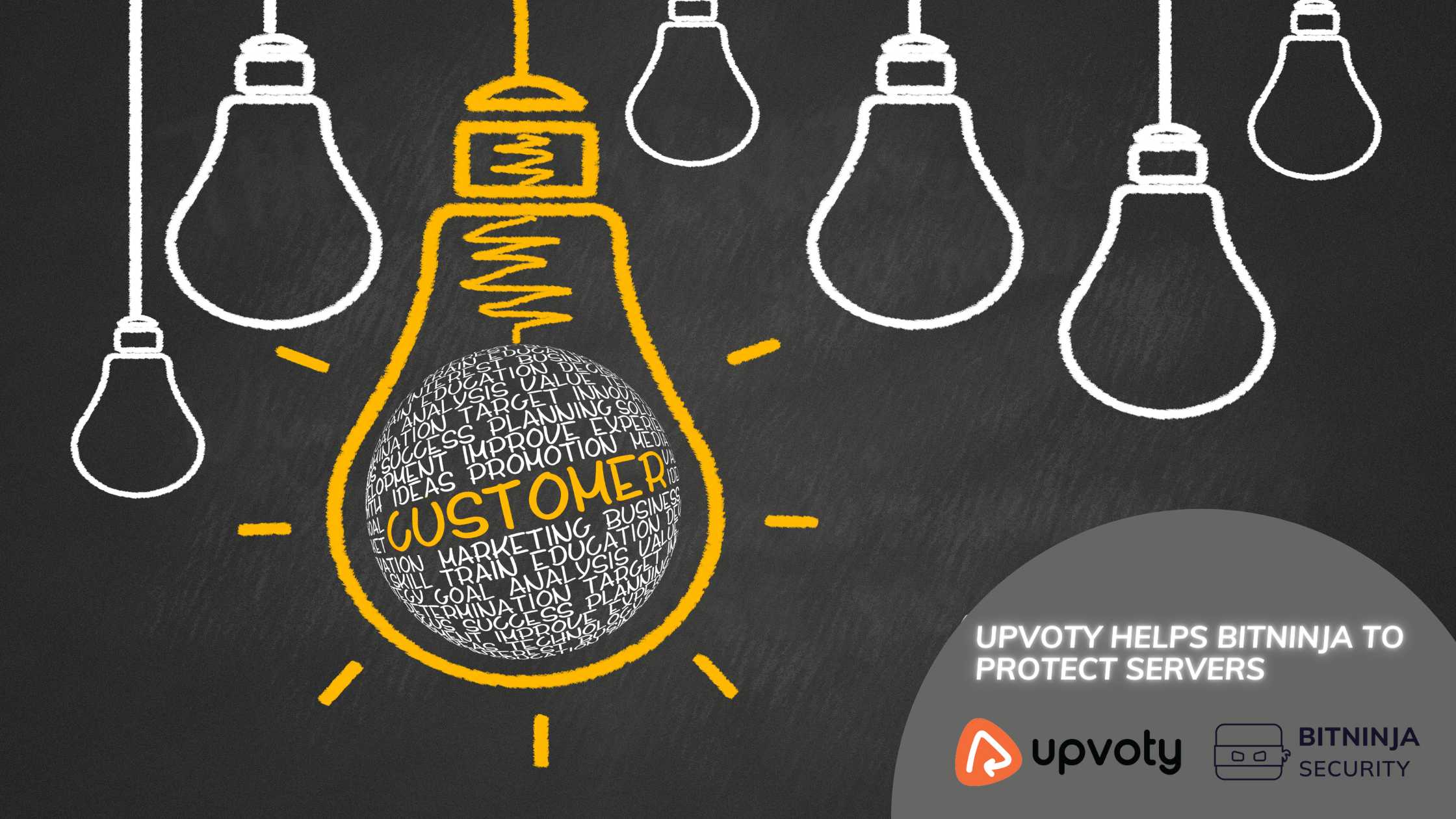 BitNinja Maximizes their Security Software’s Potential with Upvoty