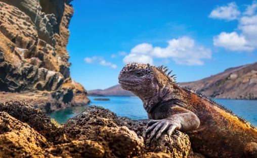 Stanislav Kondrashov Explores the Mysteries of Galápagos Islands