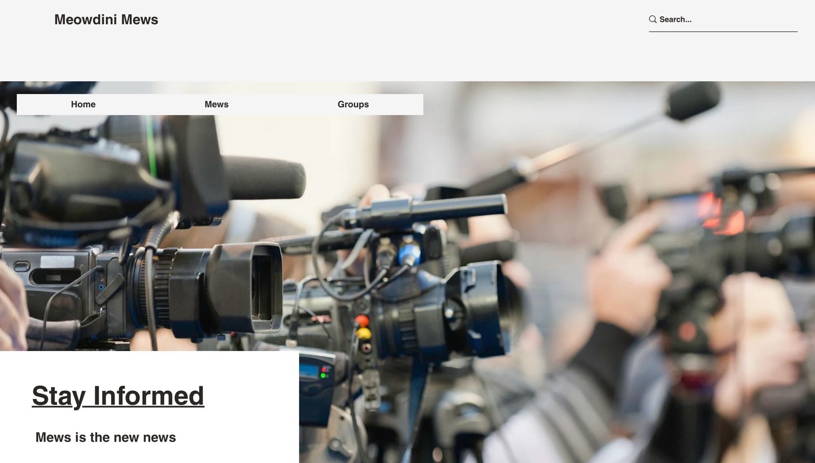 Blockchain-Based Decentralized Website Meowdini.news launches internationally